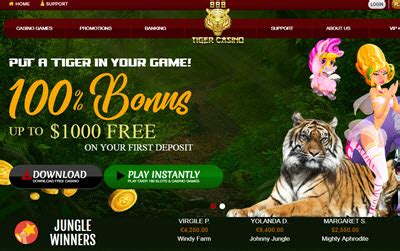 888 tiger bonus codes|888 Tiger Casino bonus codes .